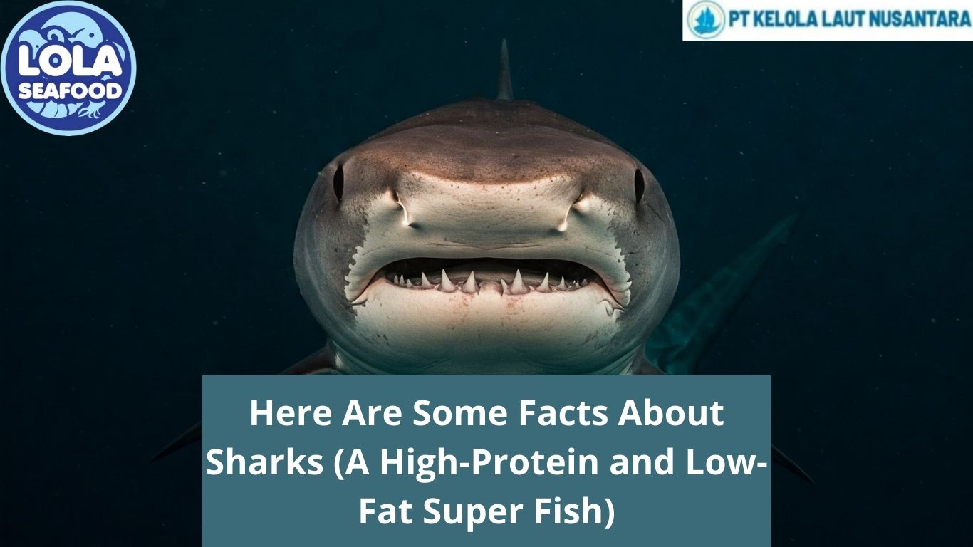 Here Are Some Facts About Sharks (A High-Protein and Low-Fat Super Fish)